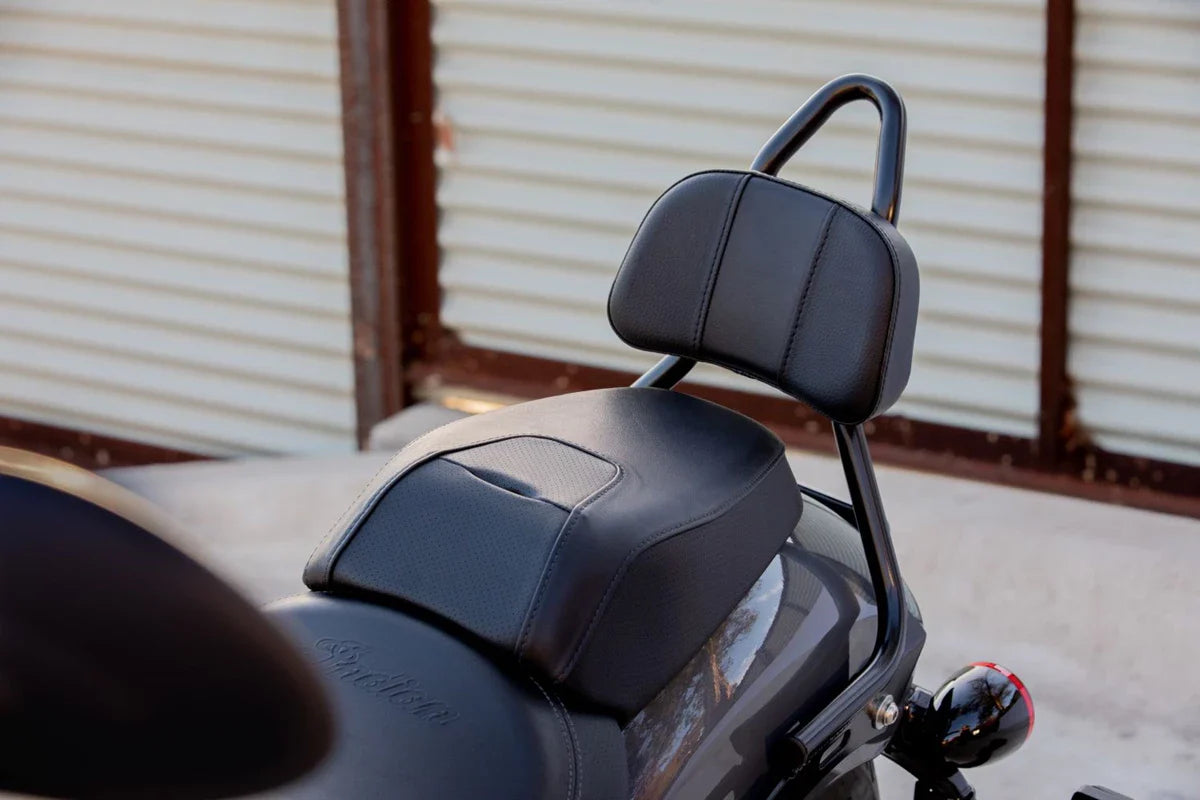 Bolt-On Sissy Bar - Gloss Black